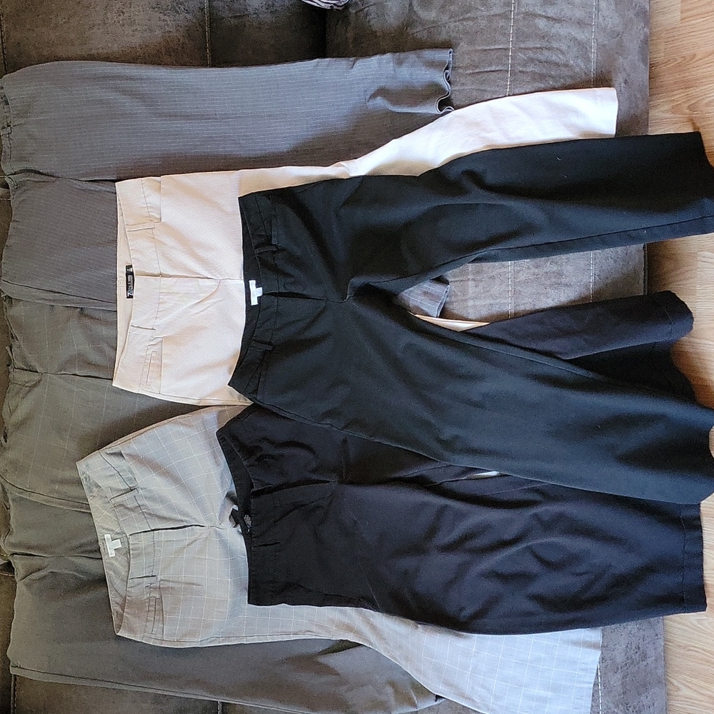 7 Pairs of New York and Company Pants